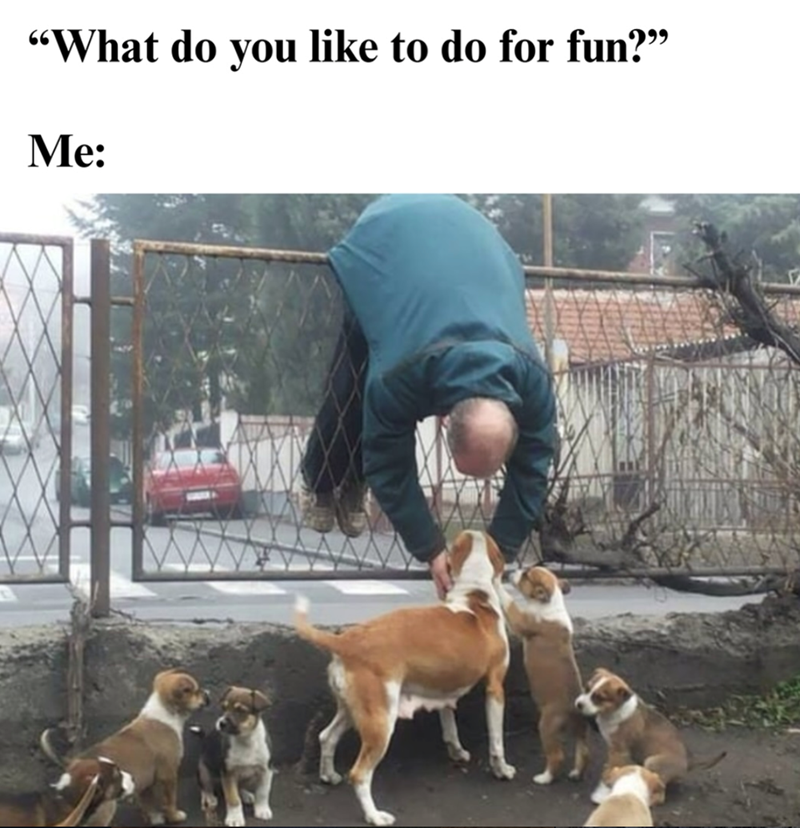 "What do you like to do for fun?" Me: