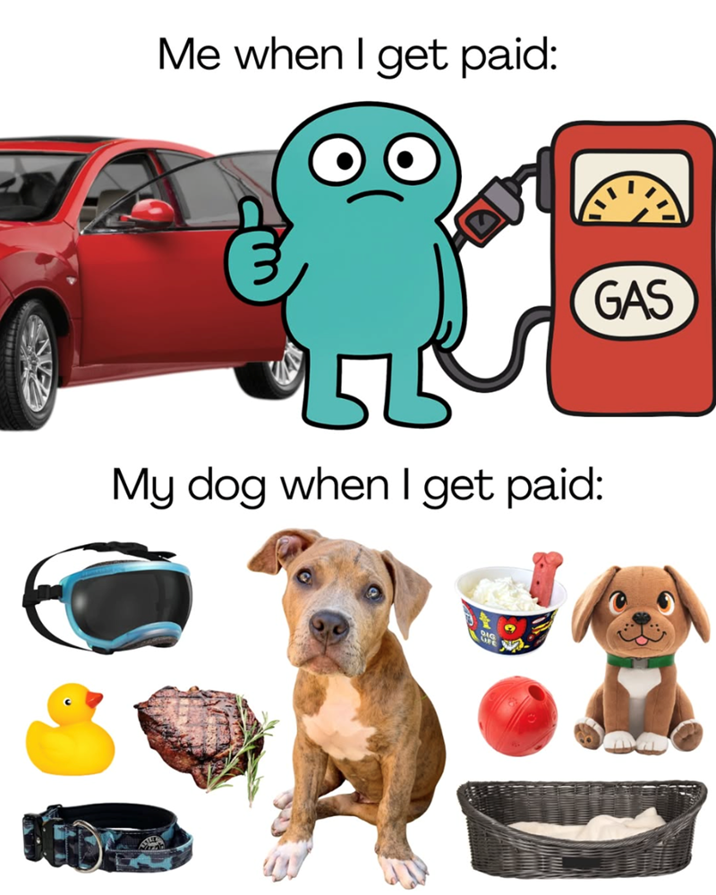 Me when I get paid: GAS My dog when I get paid: DIG LIFE