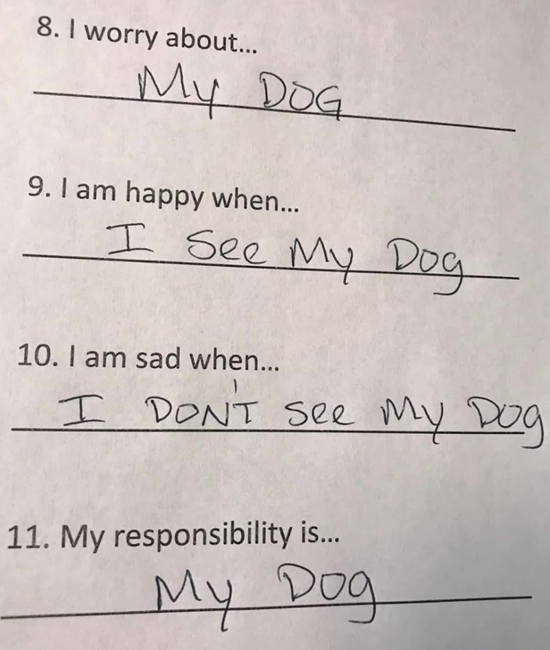 8. I worry about... My DOG 9. I am happy when... I See My Dog 10. I am sad when... I DONT See My Dog 11. My responsibility is... My Dog