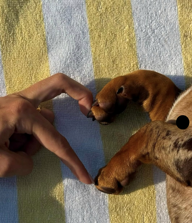 Cheezburger Image 10617134336