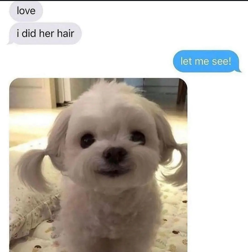 love i did her hair let me see! am