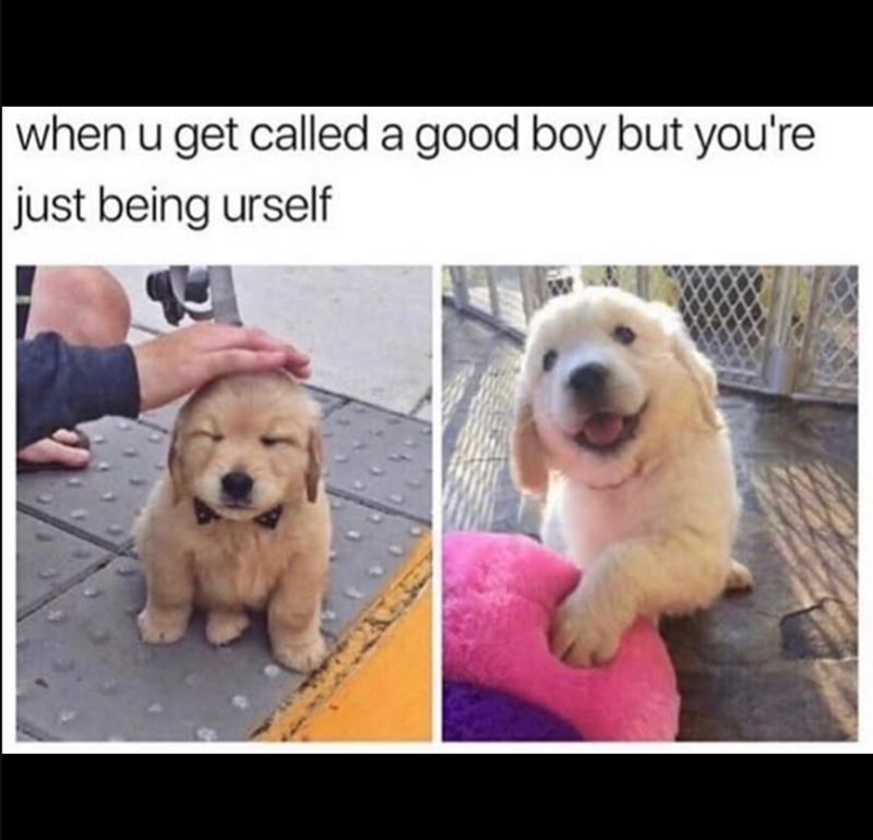 when u get called a good boy but you're just being urself