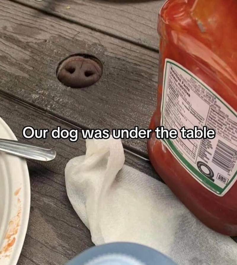 tion Facts Nutritive Our dog was under the table