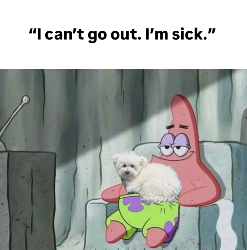 "I can't go out. I'm sick."