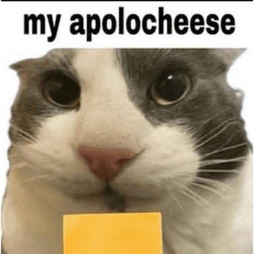 my apolocheese