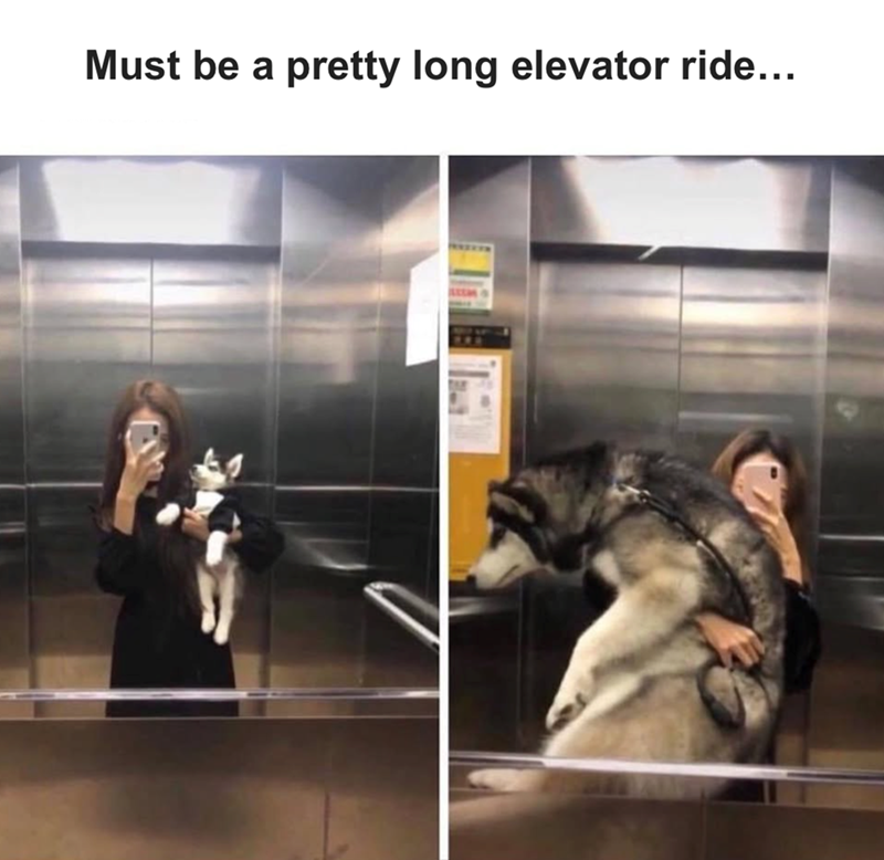 Must be a pretty long elevator ride...