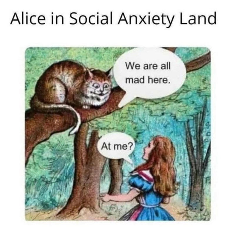 Alice in Social Anxiety Land We are all mad here. At me?