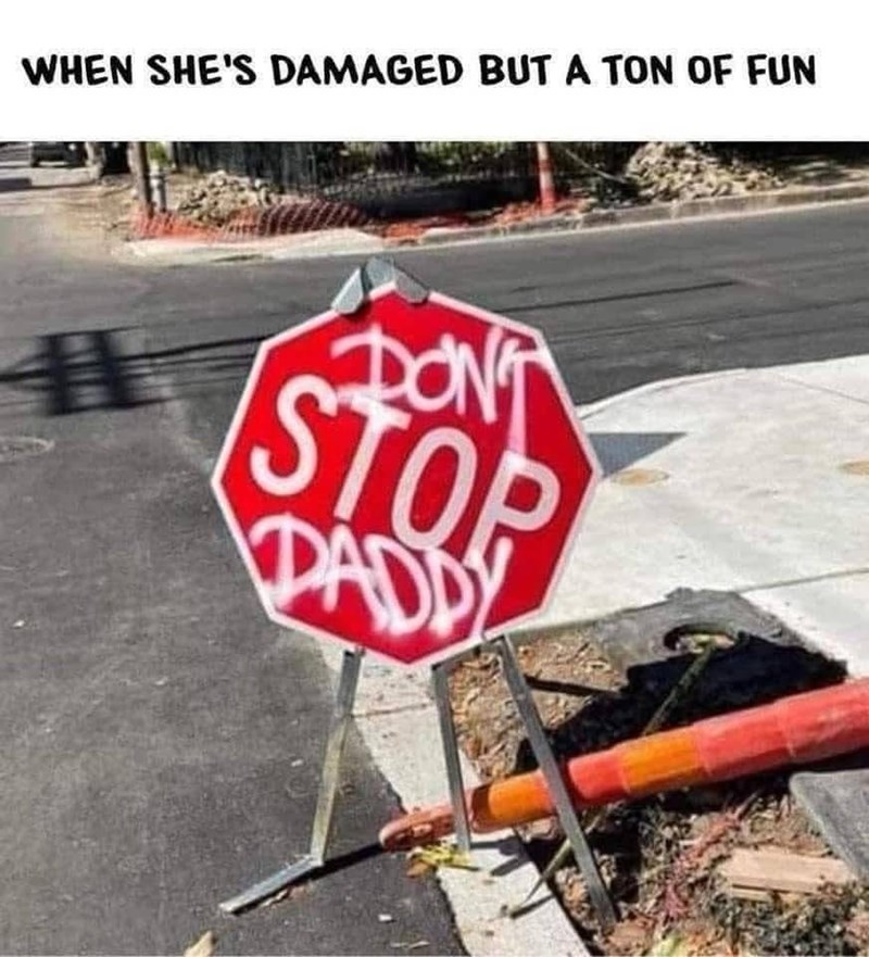 WHEN SHE'S DAMAGED BUT A TON OF FUN DON'T STOP PADDY