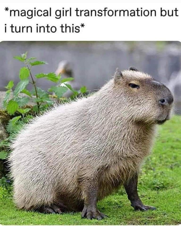 *magical girl transformation but i turn into this*