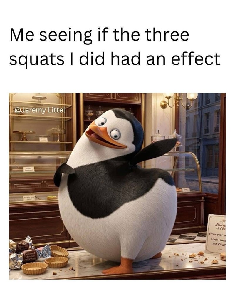 Me seeing if the three. squats I did had an effect @Jeremy Littel Stuend Gourmet Chocolate Patiss de Cio Fermé pour ne Stock Conse par Pingo