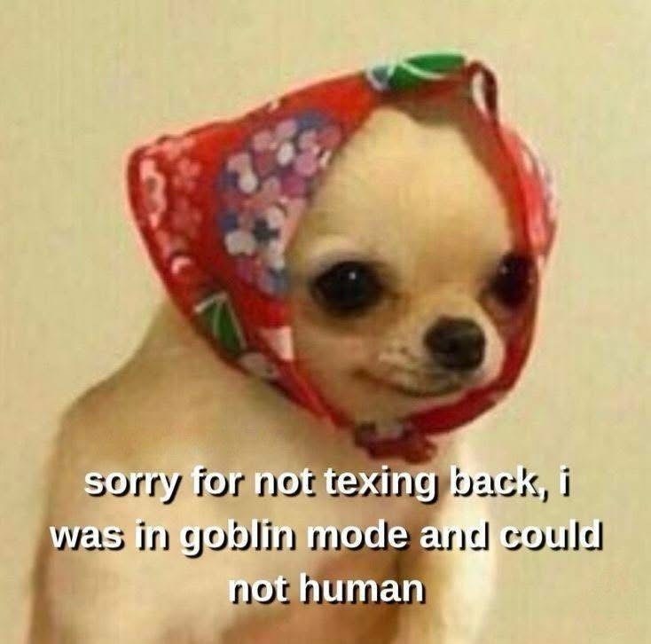 sorry for not texing back, i was in goblin mode and could not human