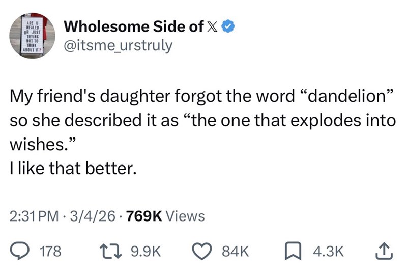 ARE U HEALED nR JUST TRYING NOT TO THINK ABOUT IT? Wholesome Side of X @itsme_urstruly My friend's daughter forgot the word "dandelion" so she described it as "the one that explodes into wishes." I like that better. 2:31 PM 3/4/26 769K Views . 178 17 9.9K 84K 4.3K