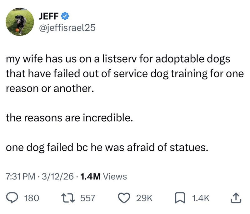 JEFF @jeffisrael25 my wife has us on a listserv for adoptable dogs that have failed out of service dog training for one reason or another. the reasons are incredible. one dog failed bc he was afraid of statues. • 7:31 PM 3/12/26 1.4M Views 180 1557 29K 1.4K ↑