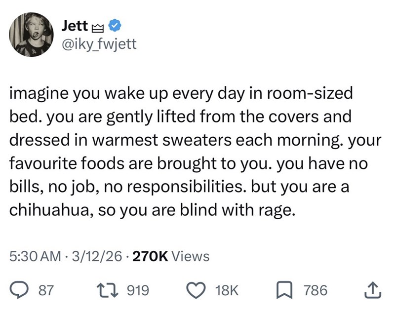 Jett @iky_fwjett imagine you wake up every day in room-sized bed. you are gently lifted from the covers and dressed in warmest sweaters each morning. your favourite foods are brought to you. you have no bills, no job, no responsibilities. but you are a chihuahua, so you are blind with rage. 5:30 AM 3/12/26 .270K Views 87 1919 18K 786 ↑