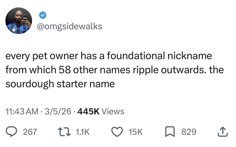 @omgsidewalks every pet owner has a foundational nickname from which 58 other names ripple outwards. the sourdough starter name 11:43 AM 3/5/26 445K Views 267 t 1.1K 15K 829 ↑