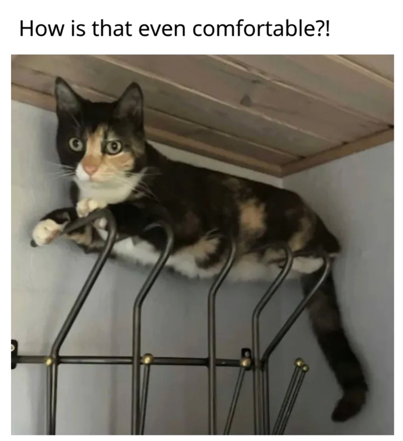 How is that even comfortable?!