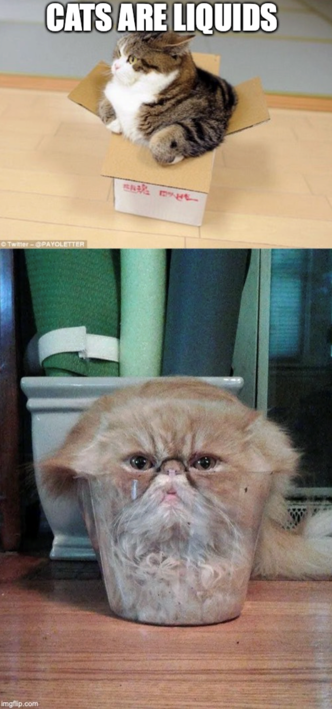 CATS ARE LIQUIDS Twitter-@PAYOLETTER imgflip.com