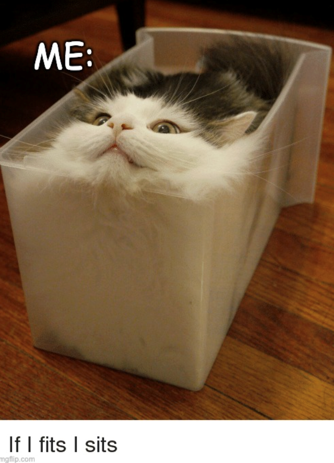 ME: If I fits I sits mgflip.com