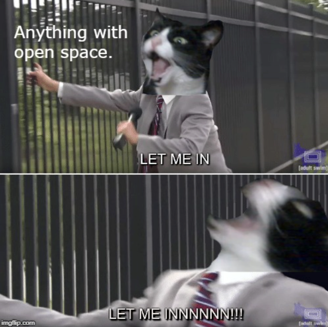 Anything with open space. LET ME IN [adult swim] LET ME INNNNNN!!! imgflip.com [adult swim)