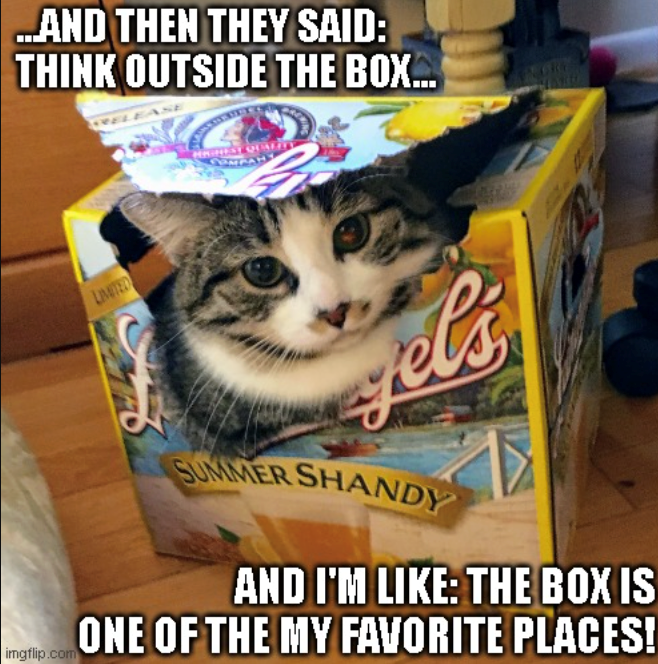 ...AND THEN THEY SAID: THINK OUTSIDE THE BOX... LIMITED el imgflip.com SUMMER SHANDY AND I'M LIKE: THE BOX IS ONE OF THE MY FAVORITE PLACES!