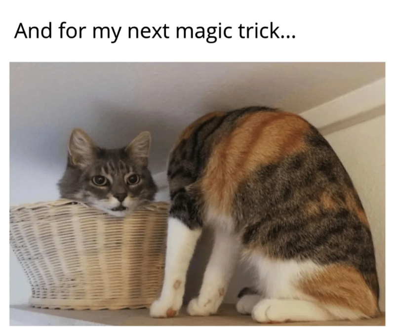 And for my next magic trick...