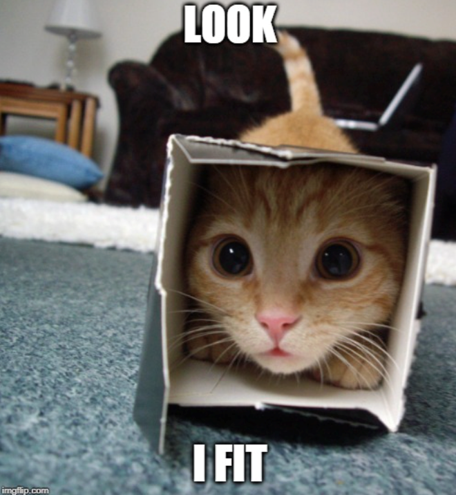 LOOK imgflip.com I FIT