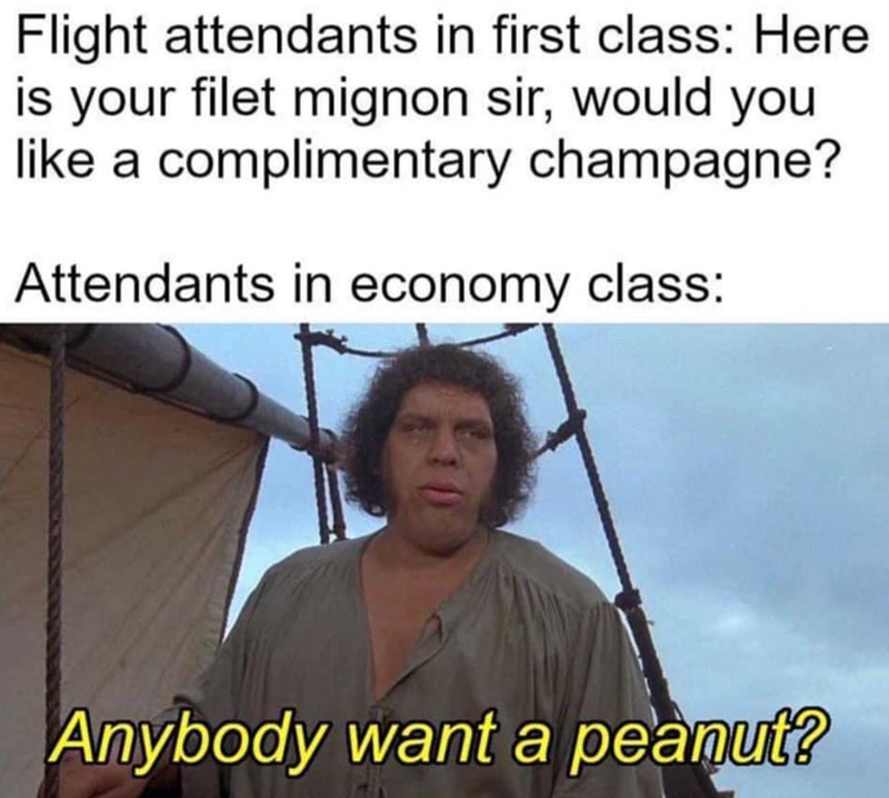 Flight attendants in first class: Here is your filet mignon sir, would you like a complimentary champagne? Attendants in economy class: Anybody want a peanut?
