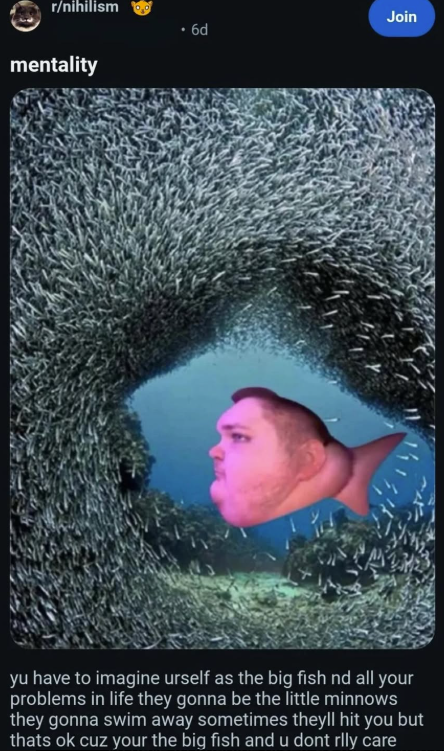 r/nihilism mentality Join ⚫ 6d yu have to imagine urself as the big fish nd all your problems in life they gonna be the little minnows they gonna swim away sometimes theyll hit you but thats ok cuz your the big fish and u dont rlly care
