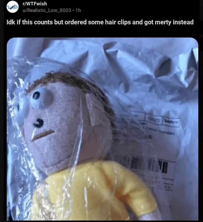 r/WTFwish u/Realistic_Low_8003 1h Idk if this counts but ordered some hair clips and got merty instead 9823