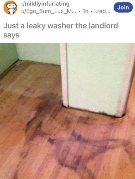 r/mildlyinfuriating u/Ego_Sum_Lux_M... 1h i.red... Just a leaky washer the landlord says Join
