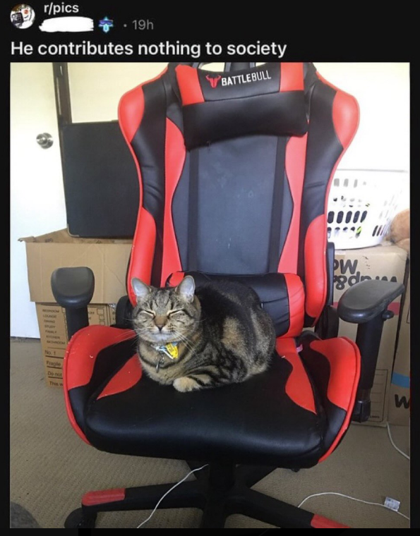 r/pics . 19h He contributes nothing to society Fragle Do not This BATTLEBULL PW W