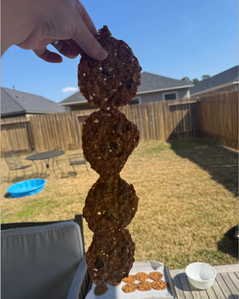 Cheezburger Image 10617211136