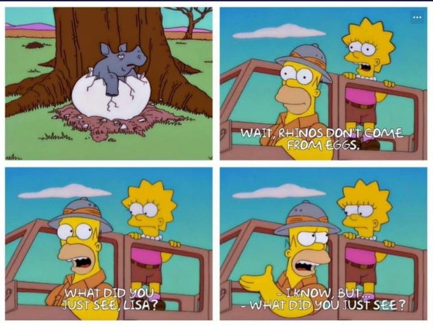 WHAT DID YOU HAUST SEE, LISA? WAIT, RHINOS DON'T COME FROM EGGS. IKNOW, BUT -WHAT DID YOU JUST SEE?