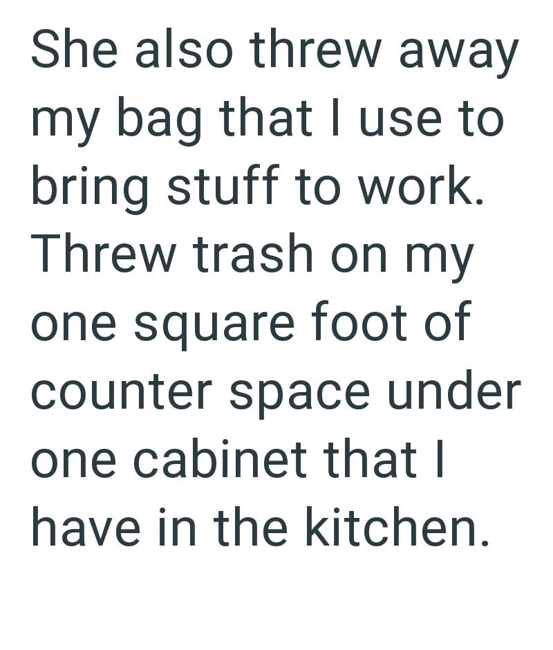 She also threw away my bag that I use to bring stuff to work. Threw trash on my one square foot of counter space under one cabinet that I have in the kitchen.