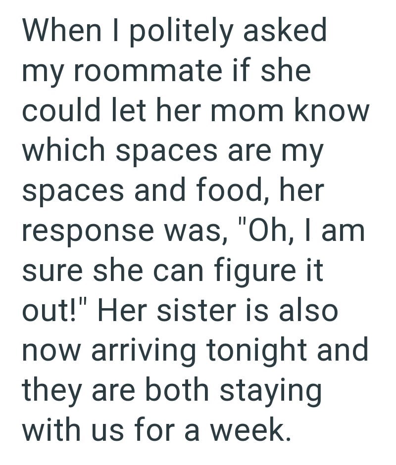 When I politely asked my roommate if she could let her mom know which spaces are my spaces and food, her response was, "Oh, I am sure she can figure it out!" Her sister is also now arriving tonight and they are both staying with us for a week.