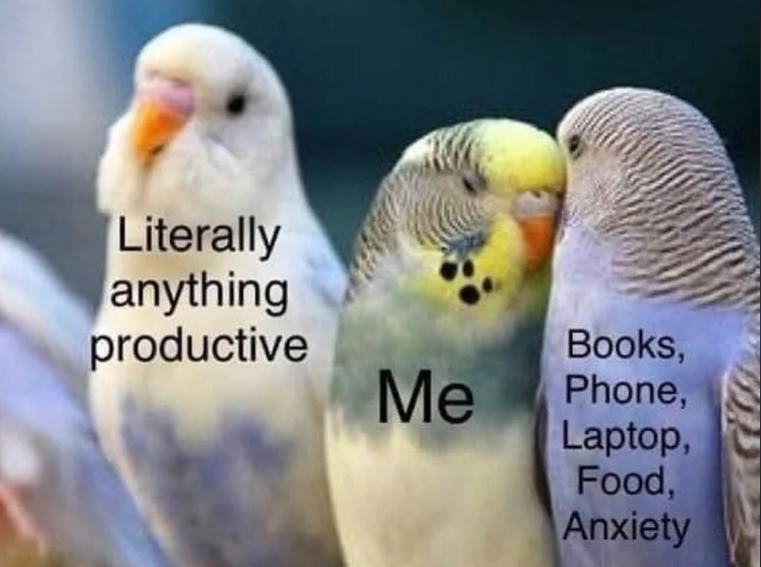 Literally anything productive Books, Me Phone, Laptop, Food, Anxiety
