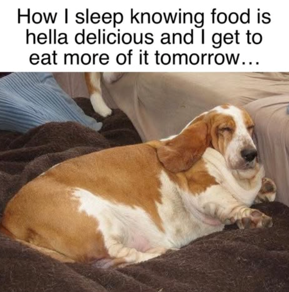 How I sleep knowing food is hella delicious and I get to eat more of it tomorrow...