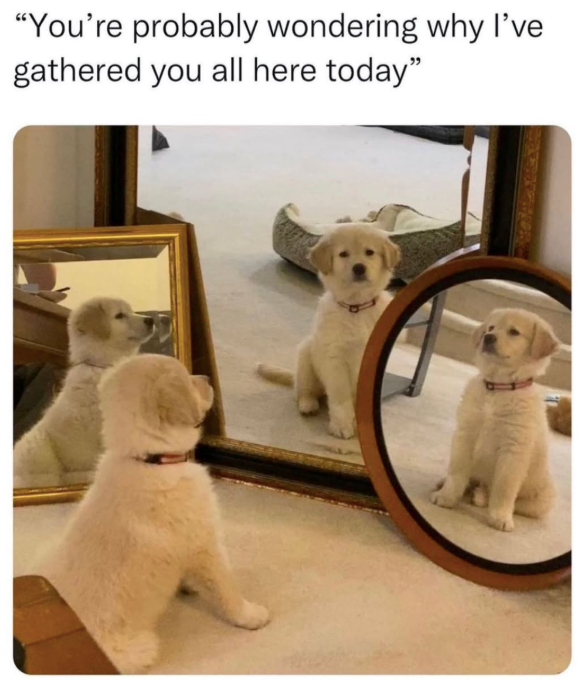 "You're probably wondering why I've gathered you all here today"