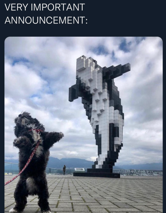 VERY IMPORTANT ANNOUNCEMENT: