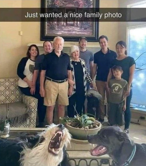 Just wanted a nice family photo
