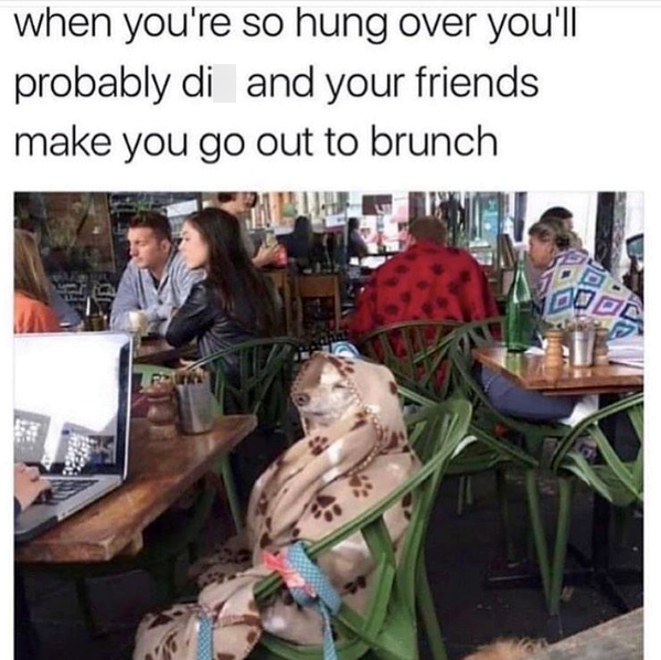 when you're so hung over you'll probably di and your friends make you go out to brunch