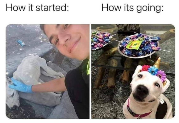 How it started: How its going: