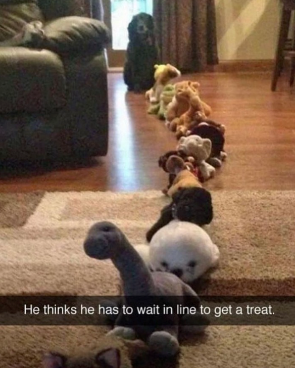 He thinks he has to wait in line to get a treat.