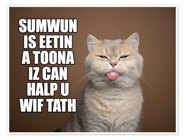 Cheezburger Image 10617282816