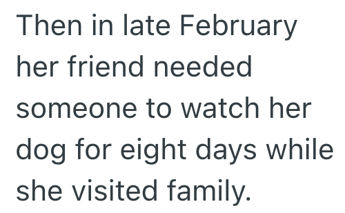 Then in late February her friend needed someone to watch her dog for eight days while she visited family.