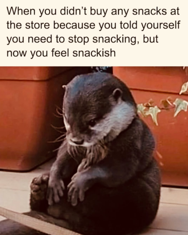 When you didn't buy any snacks at the store because you told yourself you need to stop snacking, but now you feel snackish