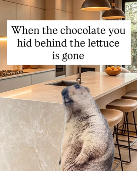 When the chocolate you hid behind the lettuce is gone