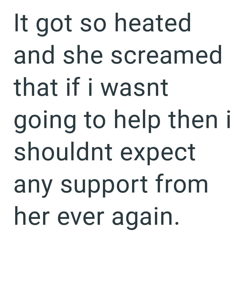 It got so heated and she screamed that if i wasnt going to help then i shouldnt expect any support from her ever again.