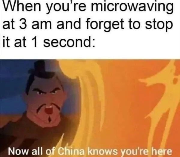 When you're microwaving at 3 am and forget to stop it at 1 second: Now all of China knows you're here