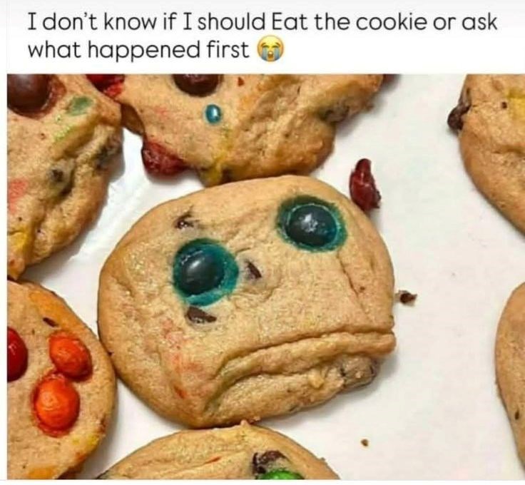 I don't know if I should Eat the cookie or ask what happened first